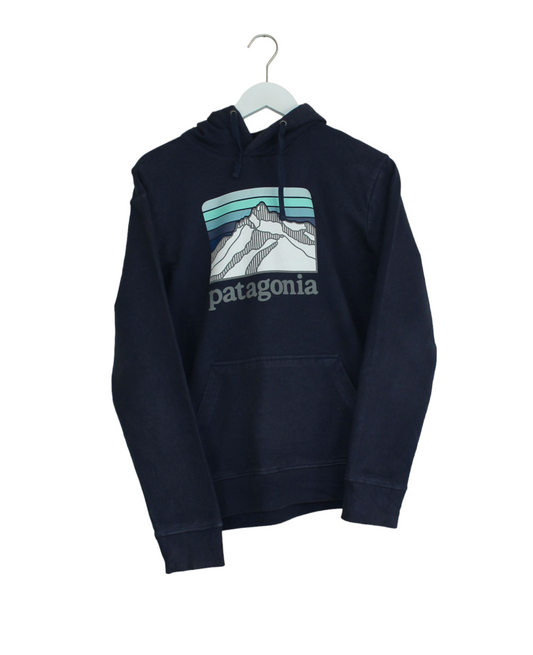 Patagonia basic hoodie blue